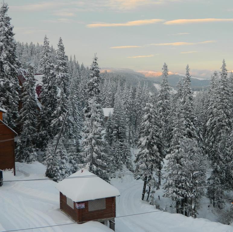 U Stozi Hotel Dragobrat Room photo